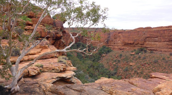 Daily Post: Hike- Kings Canyon, Australia